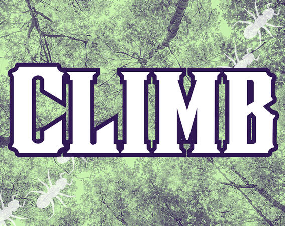 Climb Climb